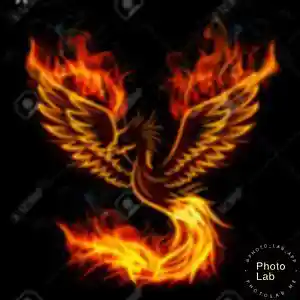 Picture for song 'brids rise' by artist 'Oson'