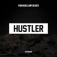 Picture for song 'Hustler' by artist 'Parabellum Beats'