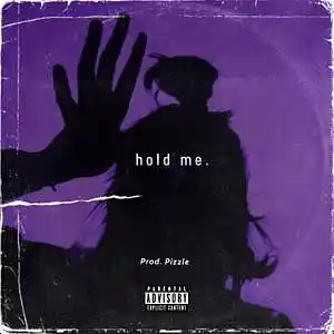 Picture for song 'Hold Me' by artist 'Prod. Pizzle'