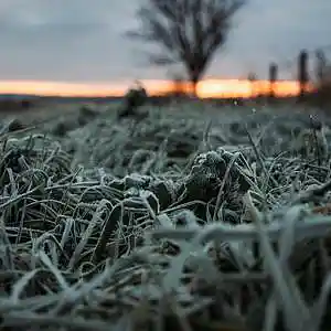 Picture for song 'Glazed - #BEATS FOR SALE' by artist 'whoDeanyBeatz'