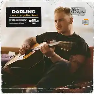 Picture for song 'Darling' by artist 'BITODELNYA'
