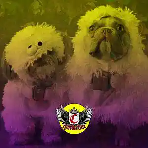 Picture for song 'COSTUME (Kodak Black Type Beat)' by artist 'Chorderline'