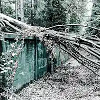 Picture for song 'Wandlitz' by artist 'DEEP SCHULZZ'