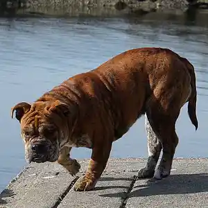 Picture for song 'glissen' by artist 'Mattila'