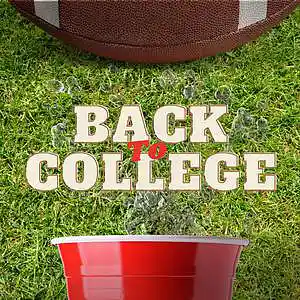 Picture for song 'Back To College' by artist 'Netuno Soundtracks'