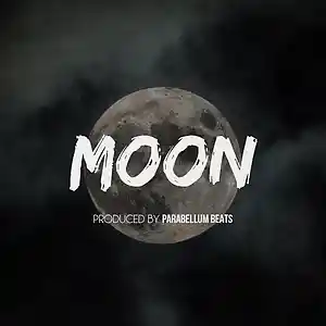 Picture for song 'Moon' by artist 'Parabellum Beats'