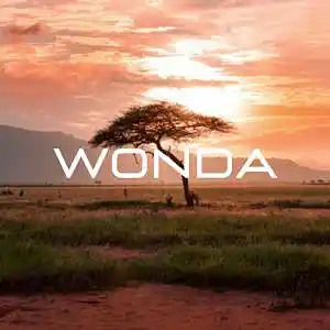 Picture for song 'WONDA' by artist 'Rockets Beat'