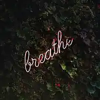 Picture for song 'Breathe (FREE DL)' by artist 'SkyCashBeats'
