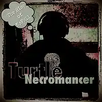 Picture for song 'Rise of No Fall (2minuteSnippet)' by artist 'Turtle Necromancer'