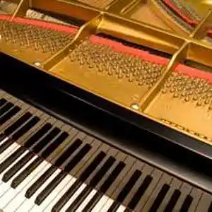 Picture for song 'Bagatelle pour piano' by artist 'Christian Faivre'