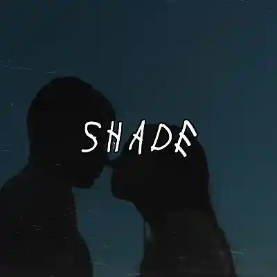 Picture for song 'Shade (Free Download)' by artist 'Frankenstein Beats'