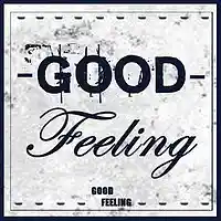 Picture for song 'That Good Feeling (100% Hit)' by artist 'Holy Influence Beat Gang'