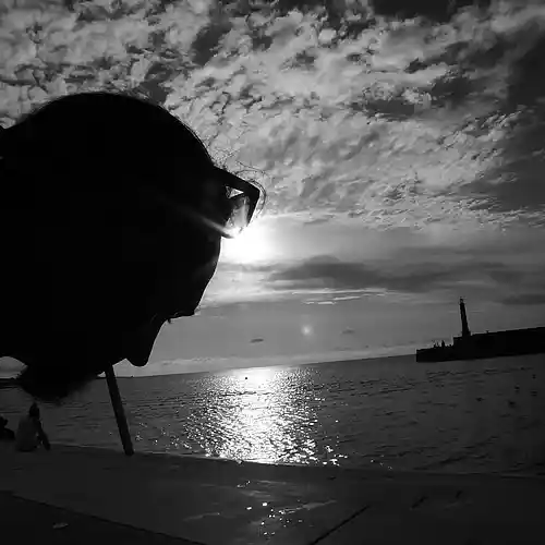 cover pic