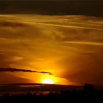 Picture for song 'you're like the sun' by artist 'Jinty'