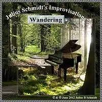 Picture for song 'Wandering 9' by artist 'Julius Schmidt'