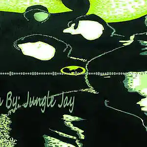Picture for song 'Dark Room' by artist 'Jungle Jay'