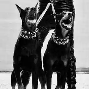 Picture for song 'Girls Dont Dress For Boys' by artist 'L0V'