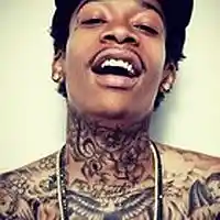 Picture for song '*DOPE* You Had Your Chance' by artist 'Rollerbeats'