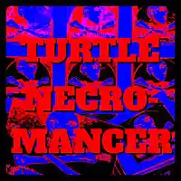 Picture for song '80Sumptin' by artist 'Turtle Necromancer'