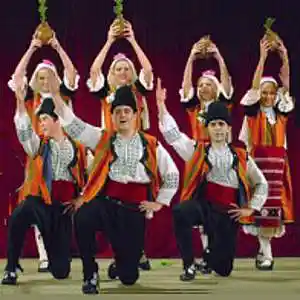 Picture for song 'Satovcensko Horo' by artist 'Christian Faivre'