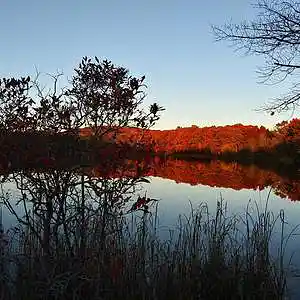 Picture for song 'Autumn Sky' by artist 'David Peppi'
