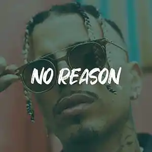 Picture for song 'Rauw Alejandro x Chris Brown Type Beat - NO REASON' by artist 'ErieBeats'