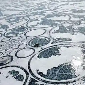 Picture for song 'Pondermusic-frozen language' by artist 'Jammer59'