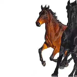 Picture for song 'Old Town Road' by artist 'Say-T'