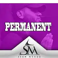 Picture for song 'Permanent (SM x SS)' by artist 'SeanMurdz'