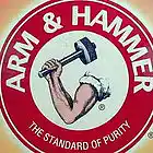 Picture for song 'Arm & Hammer (Ayerp x YJ Collab) FREE DOWNLOAD!' by artist 'Ayerp Beats'
