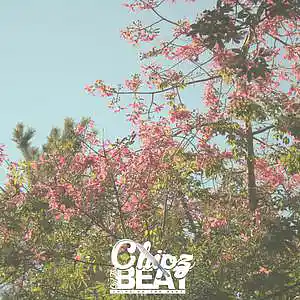 Picture for song 'SOLD! Pot Of Gold' by artist 'Chipz On The Beat'