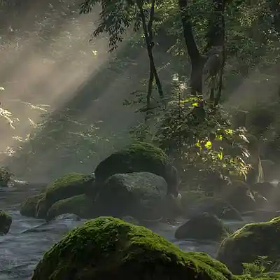 Picture for song 'yurba.' by artist 'grcia.'