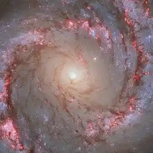 Picture for song 'wrapped (BUY 1 GET 1 FREE)' by artist 'ATOM BEATS'