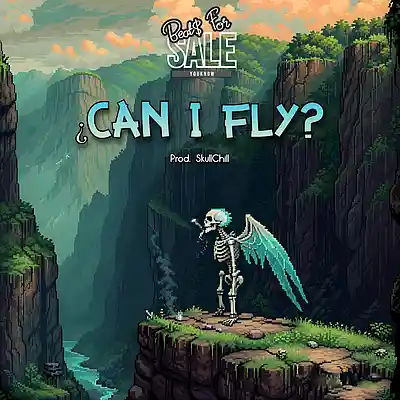 Picture for song 'Relaxing HipHop & Lofi Trap Type Beat "CAN I FLY?"' by artist 'SkullChill Beats'