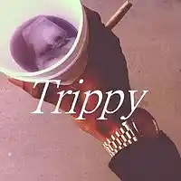 Picture for song 'Trippy Cup (138 BPM)' by artist 'Tropix Beats'