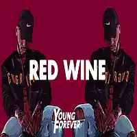 Picture for song 'Red Wine (Prod. Young Forever Beats x Cast Beats)' by artist 'Young Forever Beats'