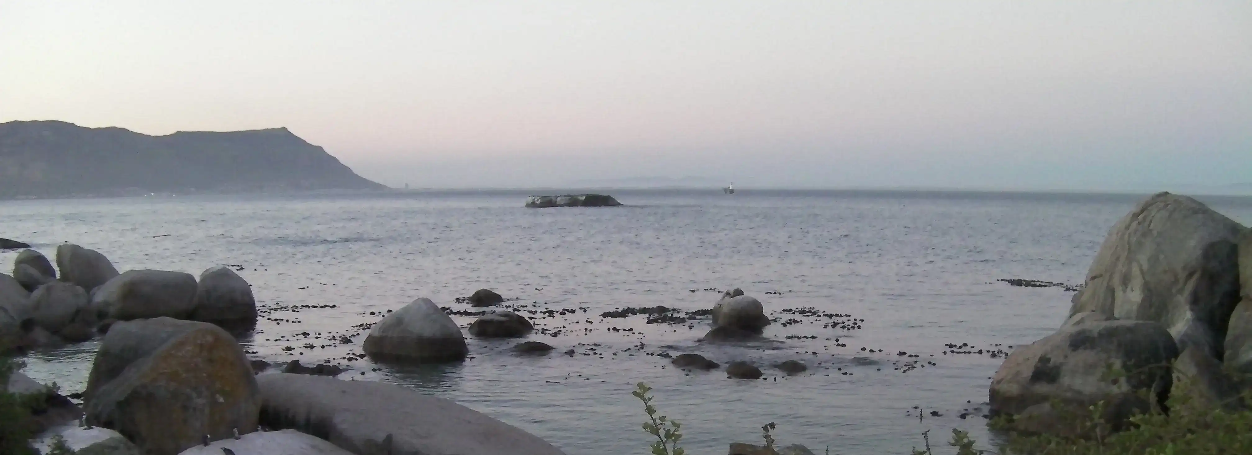 cover pic