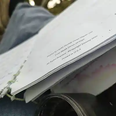 Picture for song '20240525_153651_zufallsFund_fs' by artist '786 scheint-Al'lahs Bande'