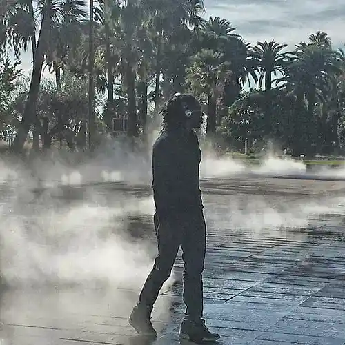 cover pic