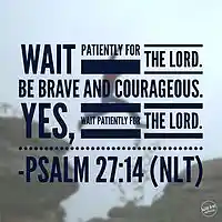 Picture for song 'Patience (Instrumental)' by artist 'My Shepherd King'