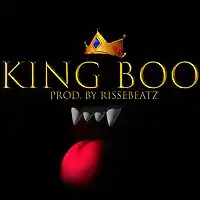 Picture for song '1 13 King Boo' by artist 'RisseBeatz'