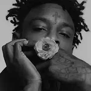 Picture for song '21 SAVAGE "EXPENSIVE GIRL"' by artist 'storm on da beat'