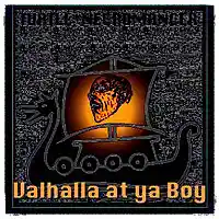 Picture for song 'Valhalla at ya Boy' by artist 'Turtle Necromancer'