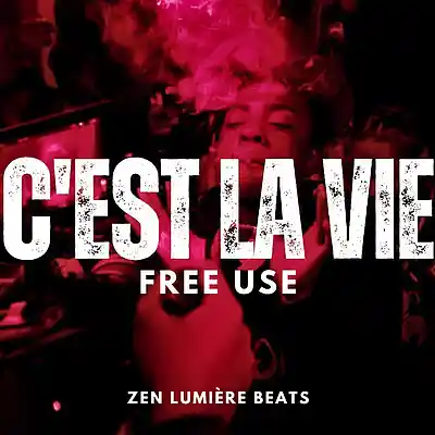 Picture for song 'C'EST LA VIE (Trap Deep House Beat)' by artist 'Zen Lumiere'