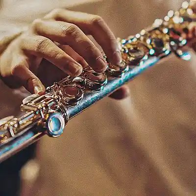 Picture for song 'brass trap' by artist 'Chillbeat'