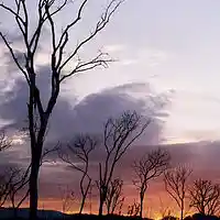 Picture for song 'Tierra Encantada ' by artist 'Dar Shelton'