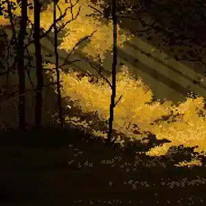 Picture for song '[FREE] "Night" Trap Beat Guitar Type Beat' by artist 'Lil Light'