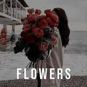Picture for song 'Flowers' by artist 'Mowj'