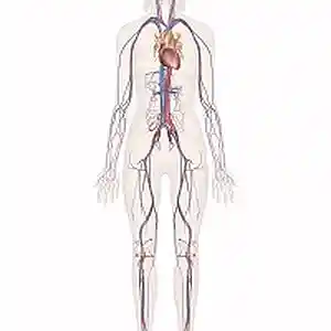 Picture for song 'Chiseled Wedding' by artist 'Pedestrial'