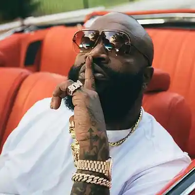 Picture for song 'MOGUL - hard hitting rap beat [Rick Ross x Drake]' by artist 'Petrofsky Beats'